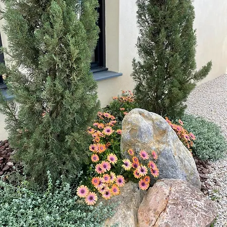 Willa La Genevieve, Maison 6 Personnes Avec Piscine Calenzana