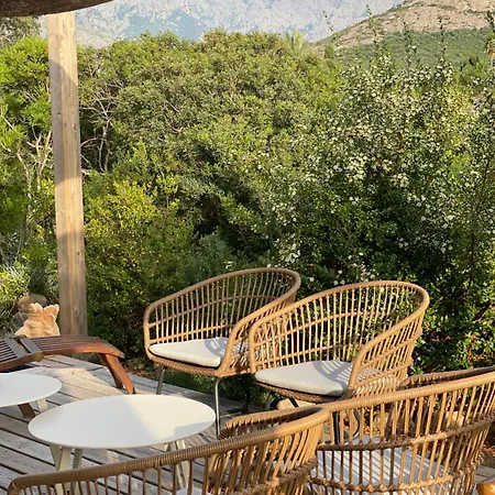 Villa La Geneviève, Maison 6 Personnes Avec Piscine Calenzana